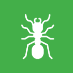 White vector graphic of a ant on a green background. 
